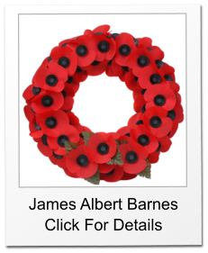 James Albert Barnes Click For Details